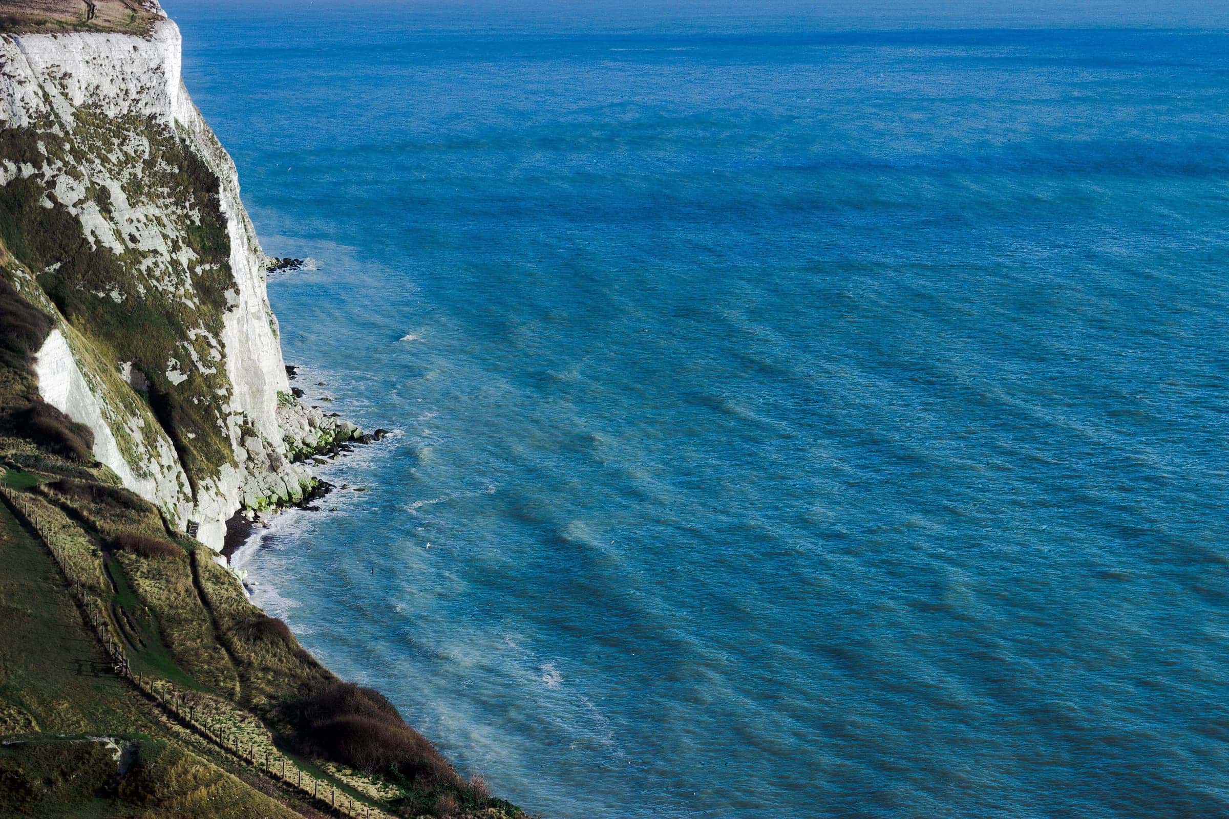 Looking down white chalk cliffs into a wide, wind-textured cobalt sea