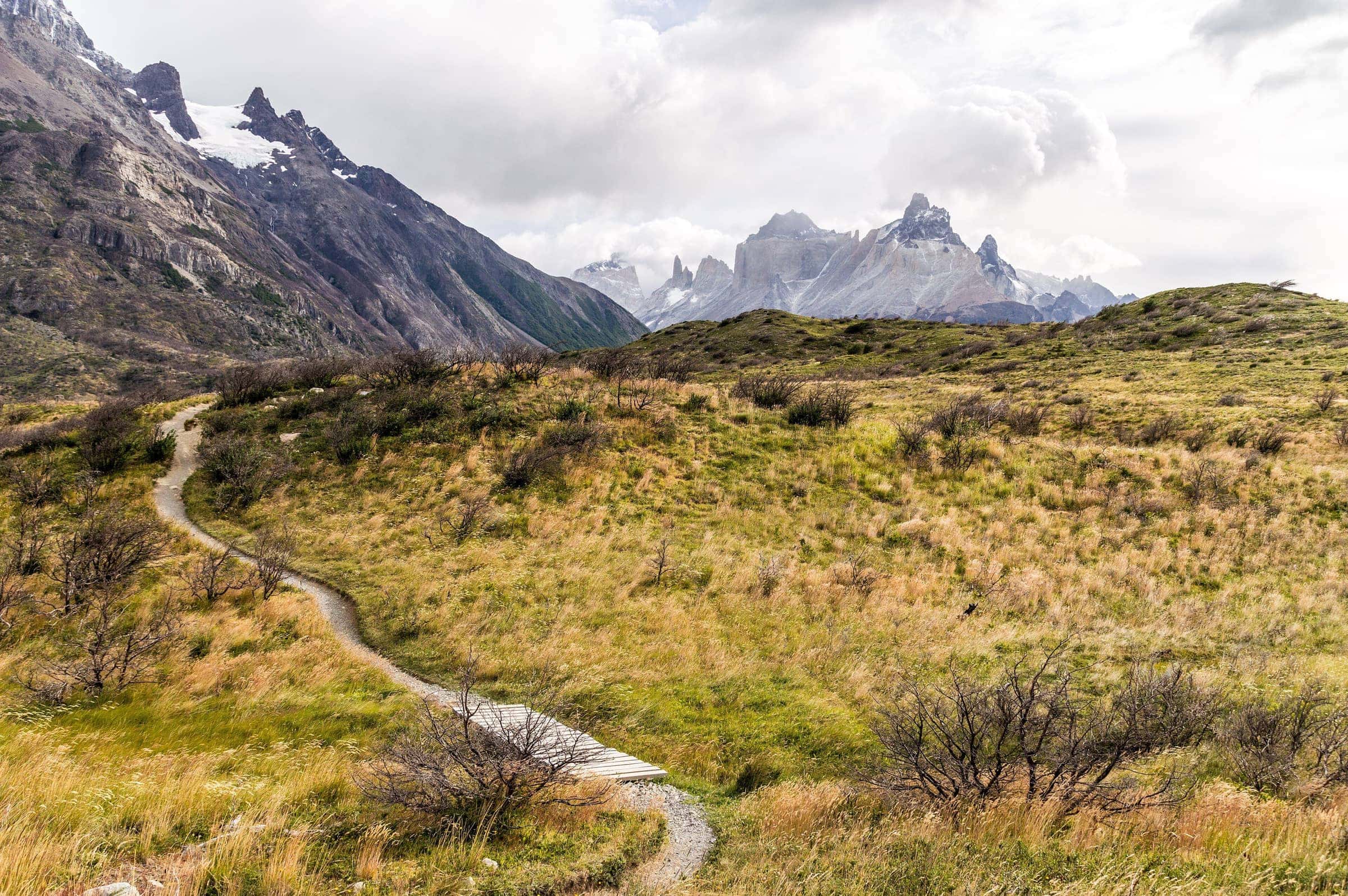 A footpath winding through golden-green steppe toward the snow-capped towers of Torres del Paine
